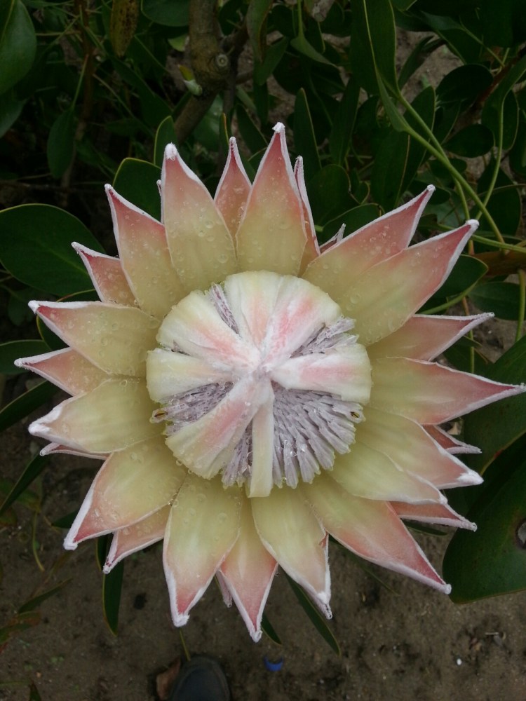 20140826_111344.jpg image