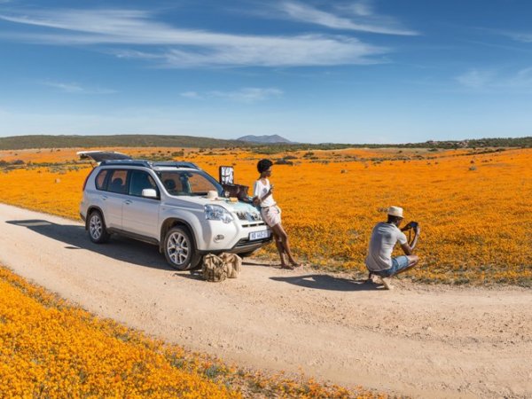 les Fleur sauvage de la cote de l’ouest West Coast (Août à&nbsp;Sept)