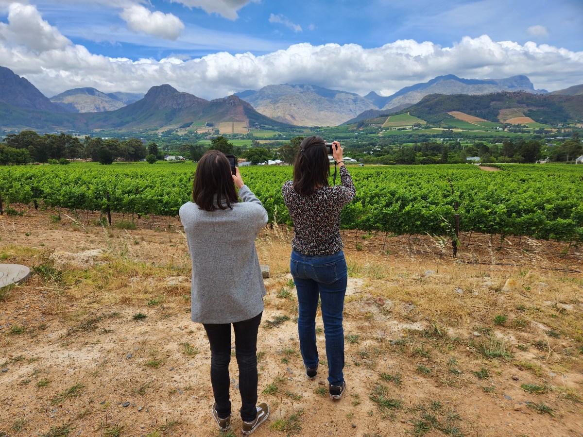 La Routes des&nbsp;Vins