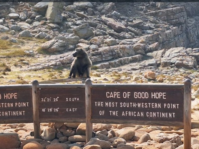 La Peninsule du Cap et Cap de Bonne&nbsp;Esperance